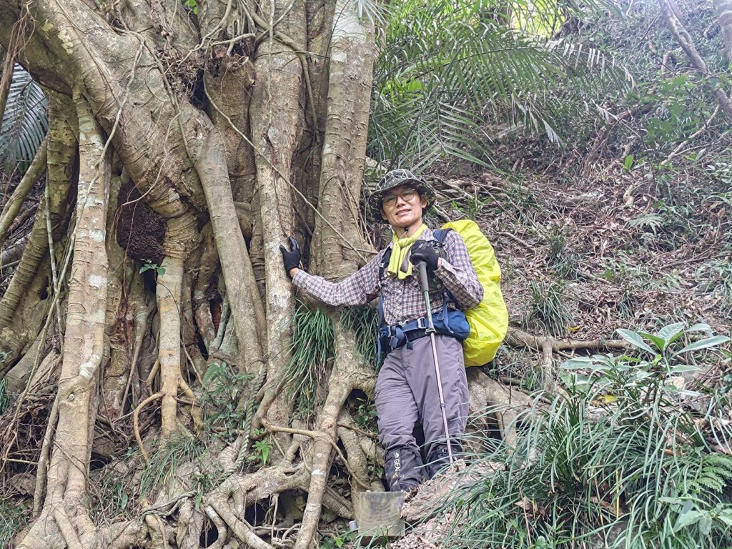 雙流森林遊樂區婆豬古山連走雙流瀑布帽子山_2652699