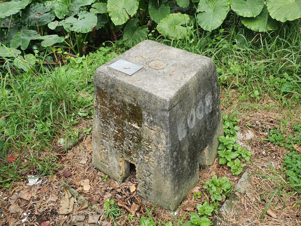 美崙山步道_1268739