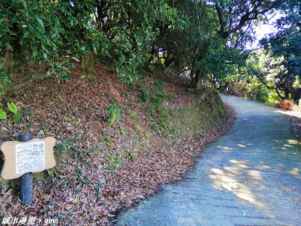 跟著土地公指標趣味走~大里金螢寶山貴妃道_1299085