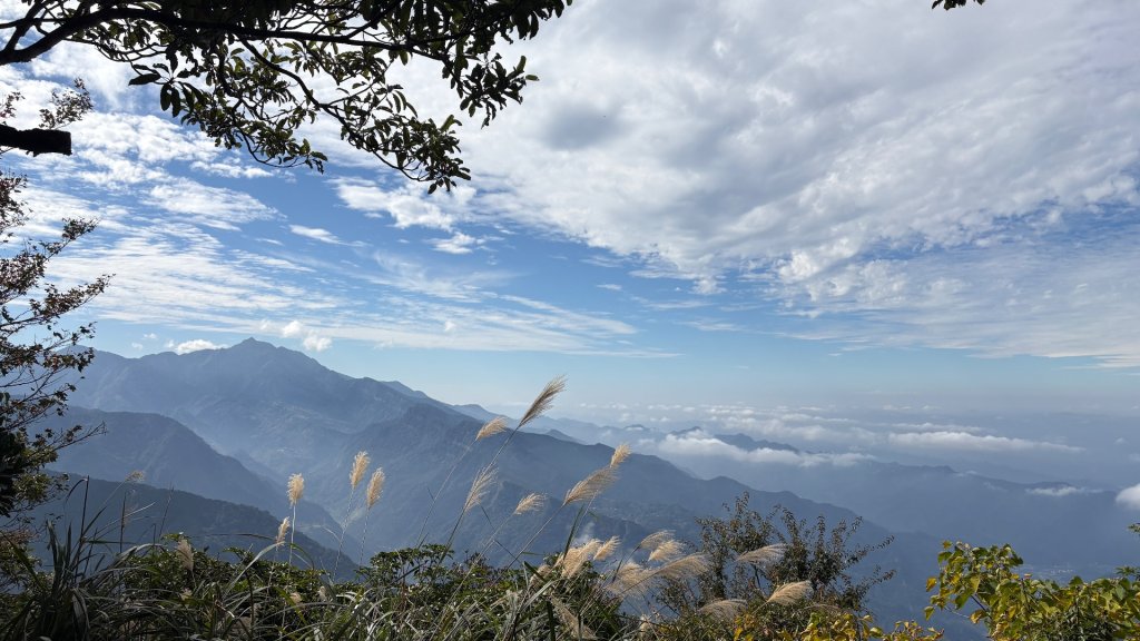 鵝黃色的優雅_2960225