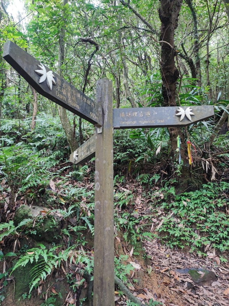 淡蘭北路第二段：燦光寮至澳底_2528399