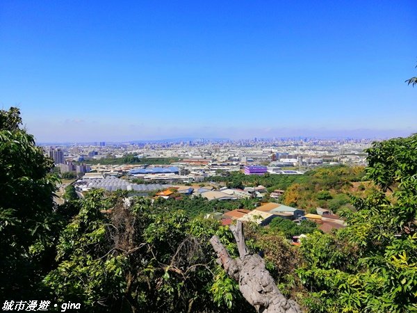 跟著土地公指標趣味走~大里金螢寶山貴妃道_1299080