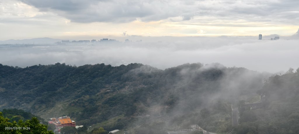 #雲瀑 #雲海 #琉璃光 #天空之城（林口）#觀音山 #林梢步道 3/1_3008597