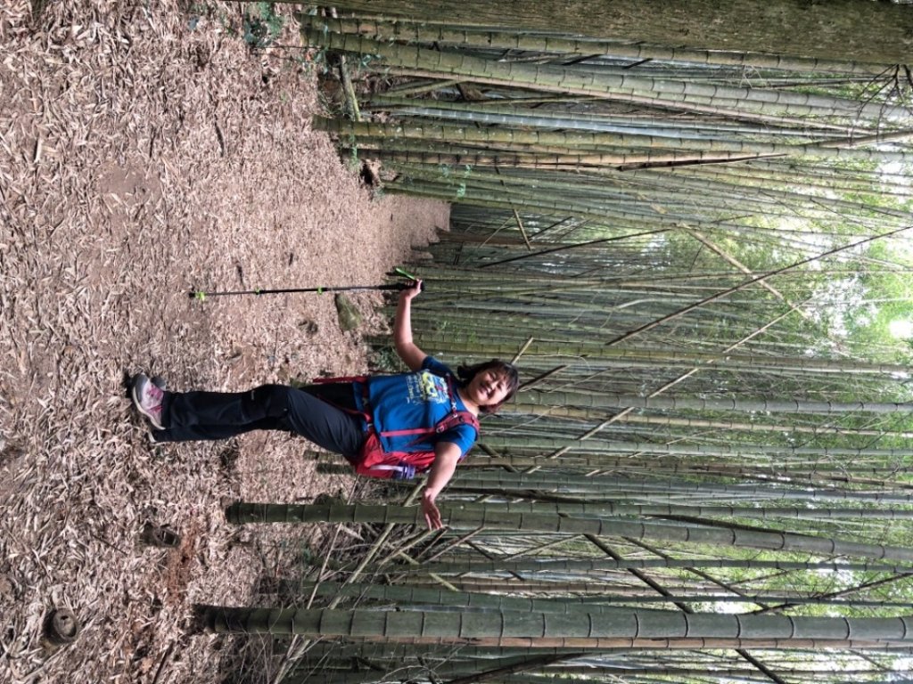 草嶺之旅（賞櫻、桃、李花）_1278152