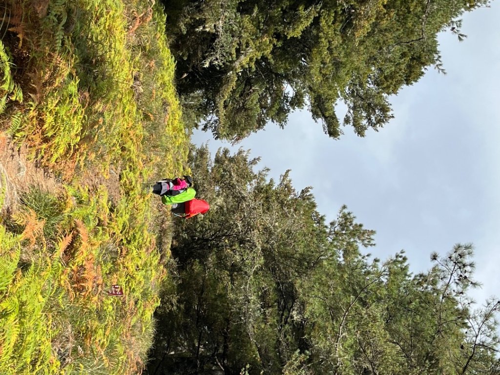 逆走雪劍💙淒風苦雨賞雪❄️+🎂⛰️旅_2967663