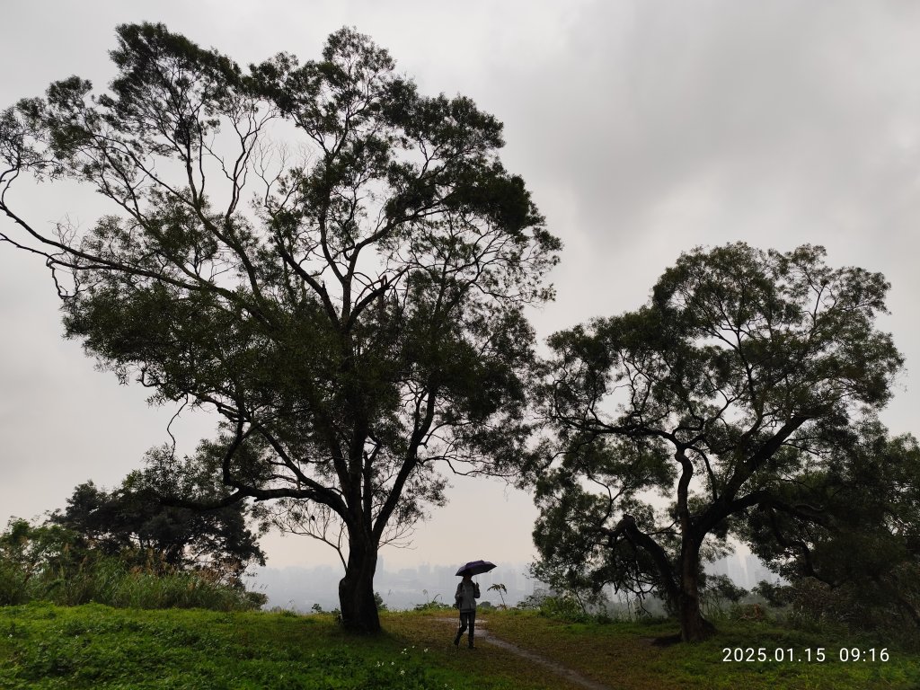 2-1 捷運新店站→碧潭吊橋→和美山登山步道(綠線親山步道)→碧潭吊橋_2690717