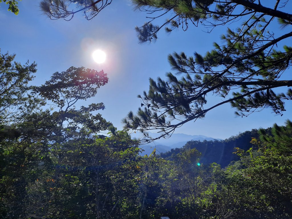 一日大坑_1030012