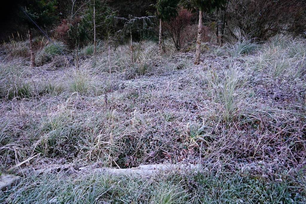 親子健行－羅馬縱走_819648