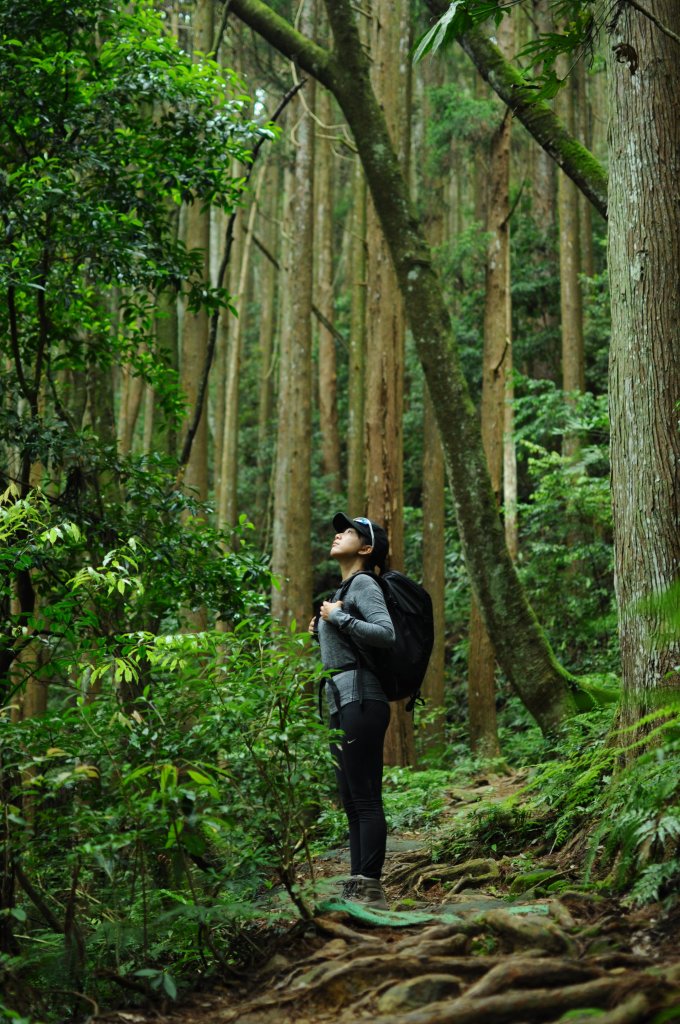 加里山首刷探路沒登頂封面圖