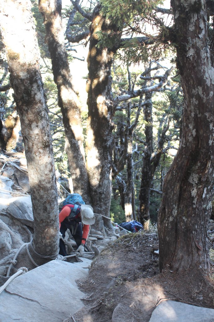 20230306高雄關山(二刷)_2070871