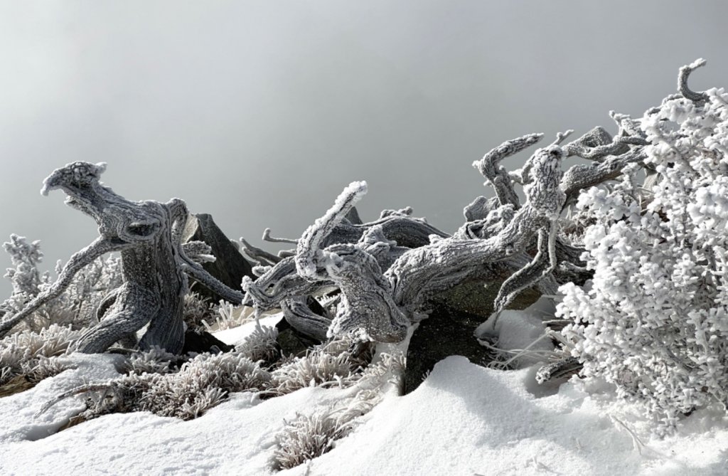 雪山薄雪輕健行_1585796