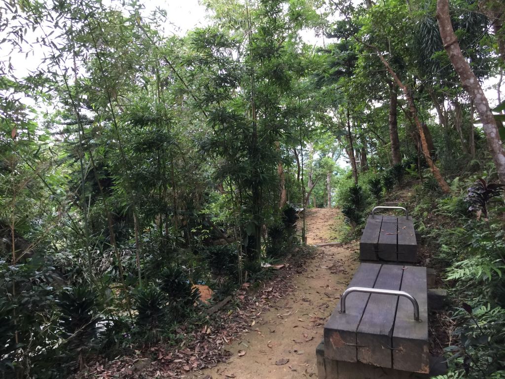 獅頭山(小獅山一,二,三峰)_332433