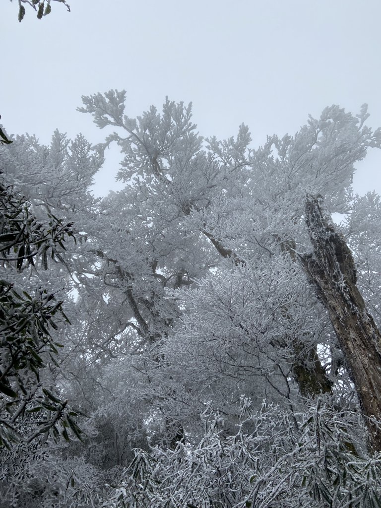 冰凍內鳥嘴~美得讓你哇聲不停_2010053