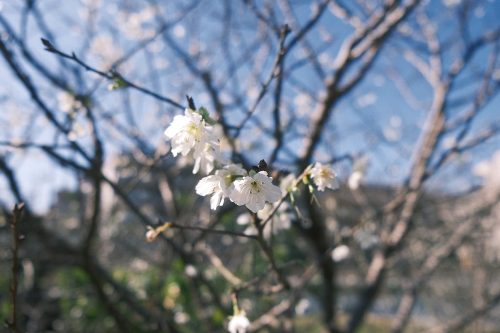 內溝山、老鷲尖山_2727531