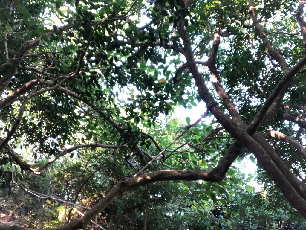 2021.11.14柴山_1517145