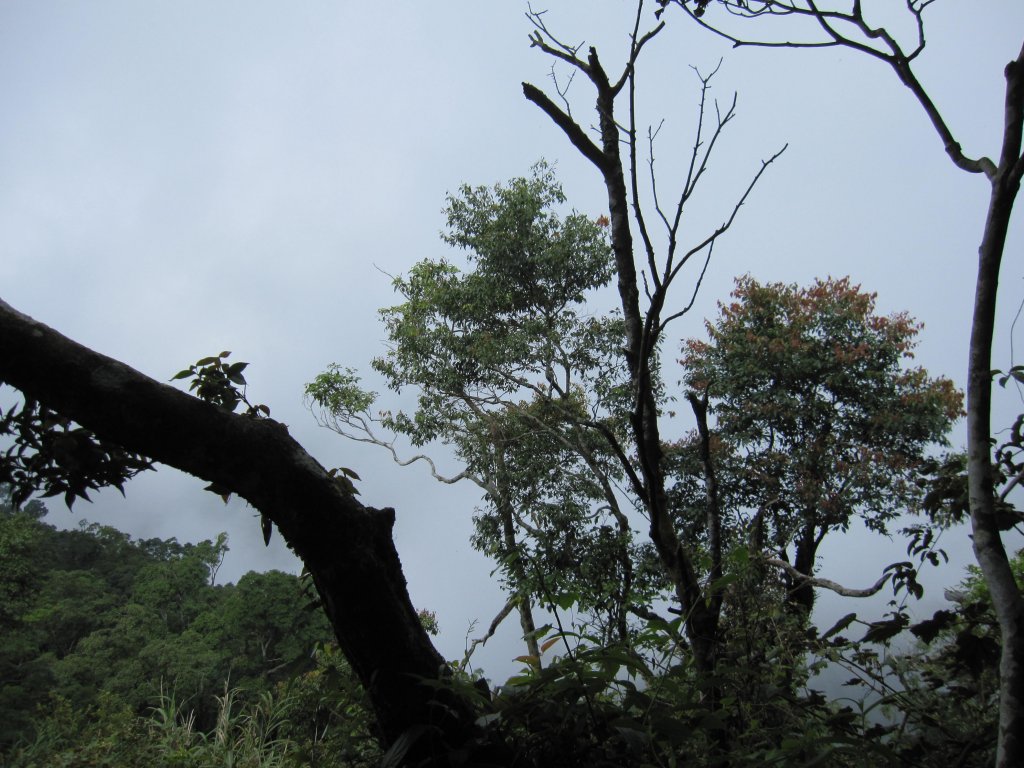 涼爽避暑的日湯真山_1031660