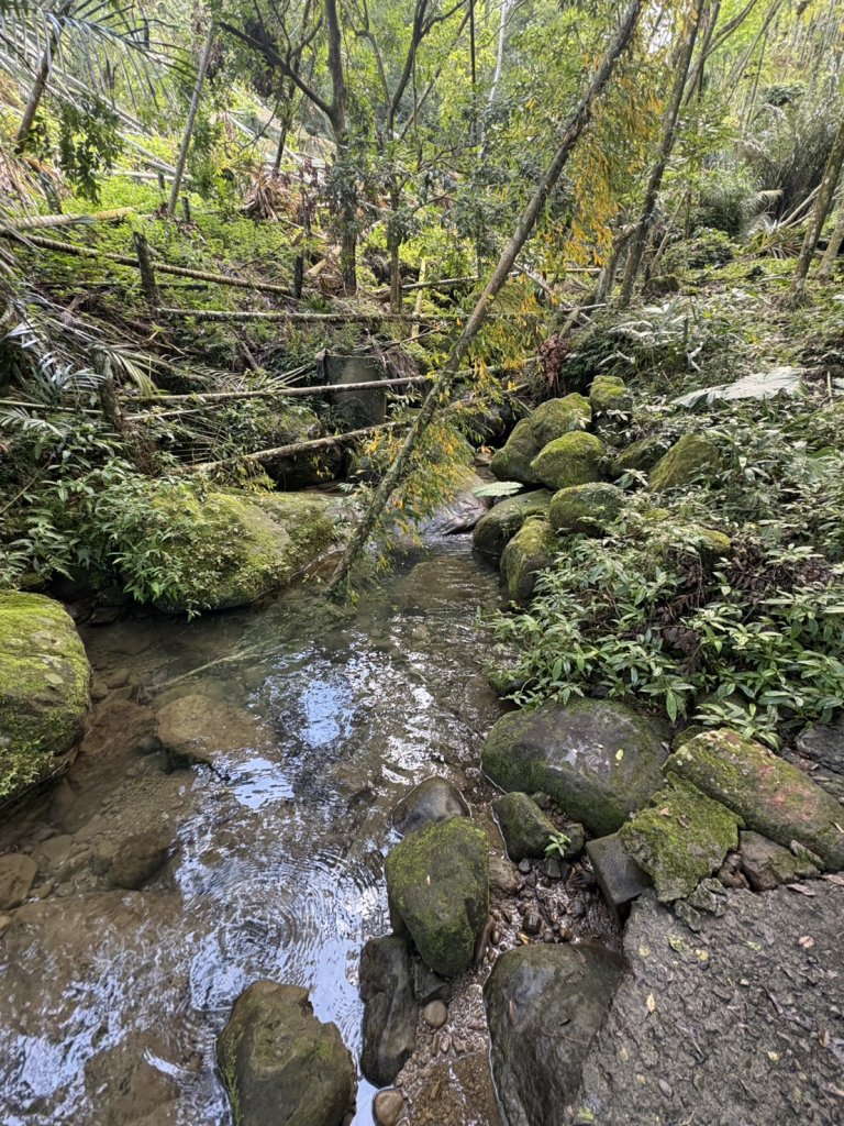20250830台南關仔嶺大凍山步道_2914683