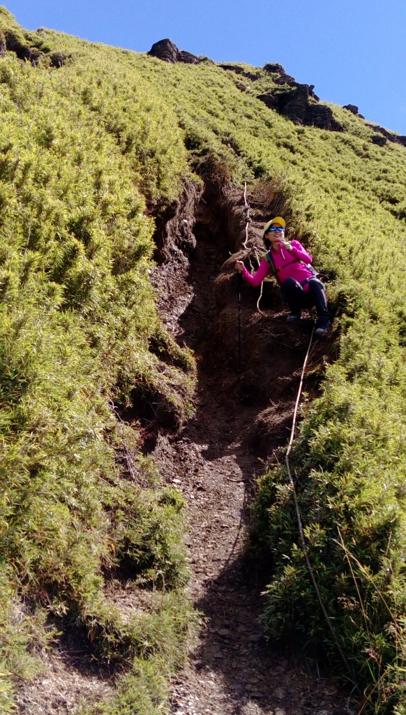 2018首登合歡群峰之北峰與西峰 _446899