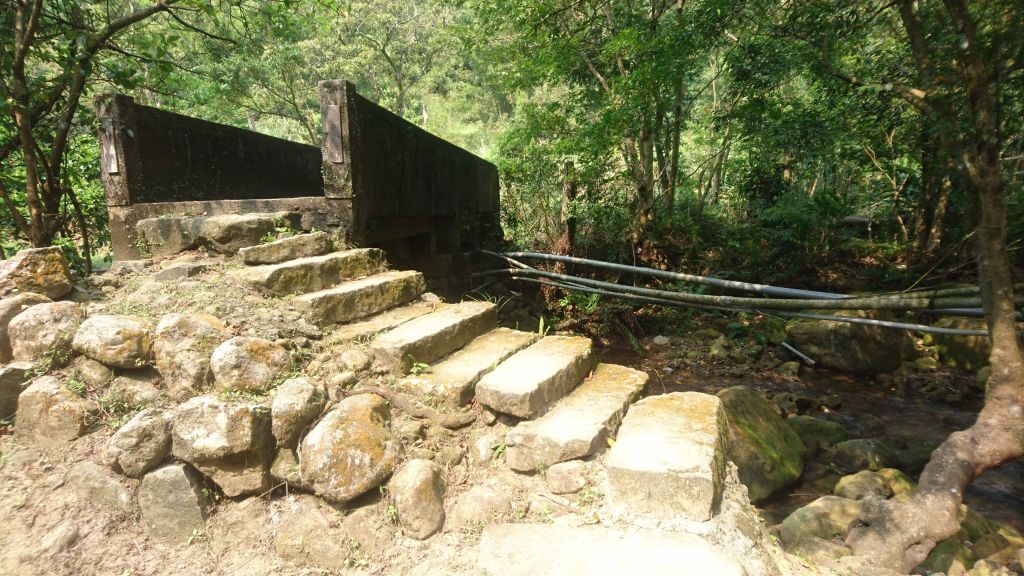 五指山古道O走-友蚋山-新山夢湖_178435