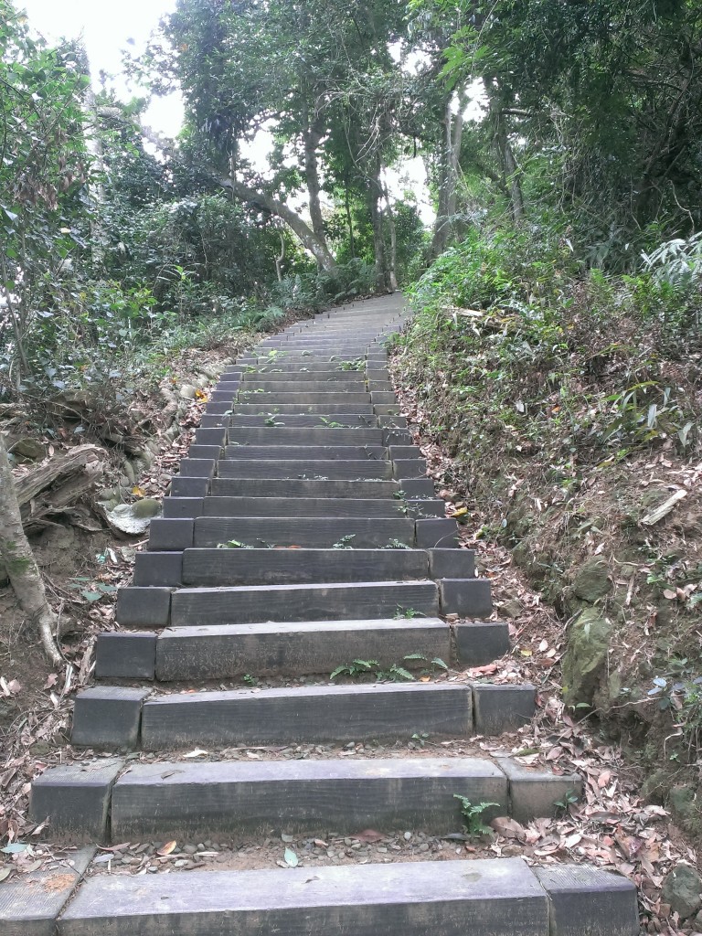 獅頭山-藤坪步道&萬佛庵步道_253514