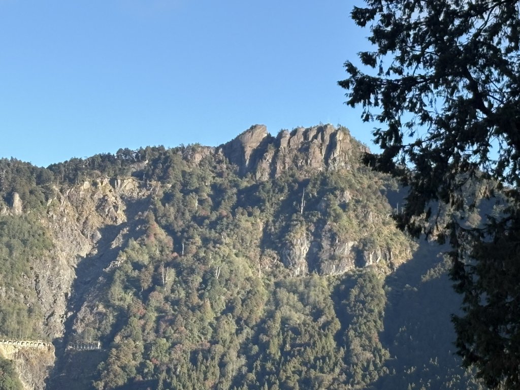 20251225塔山步道(大塔山)_2970231