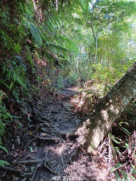 【台中和平】2022「谷關七雄，慢旅台中」登山活動認證。七雄中唯一有瀑布景觀~ 唐麻丹山x蝴蝶谷瀑布_1775958