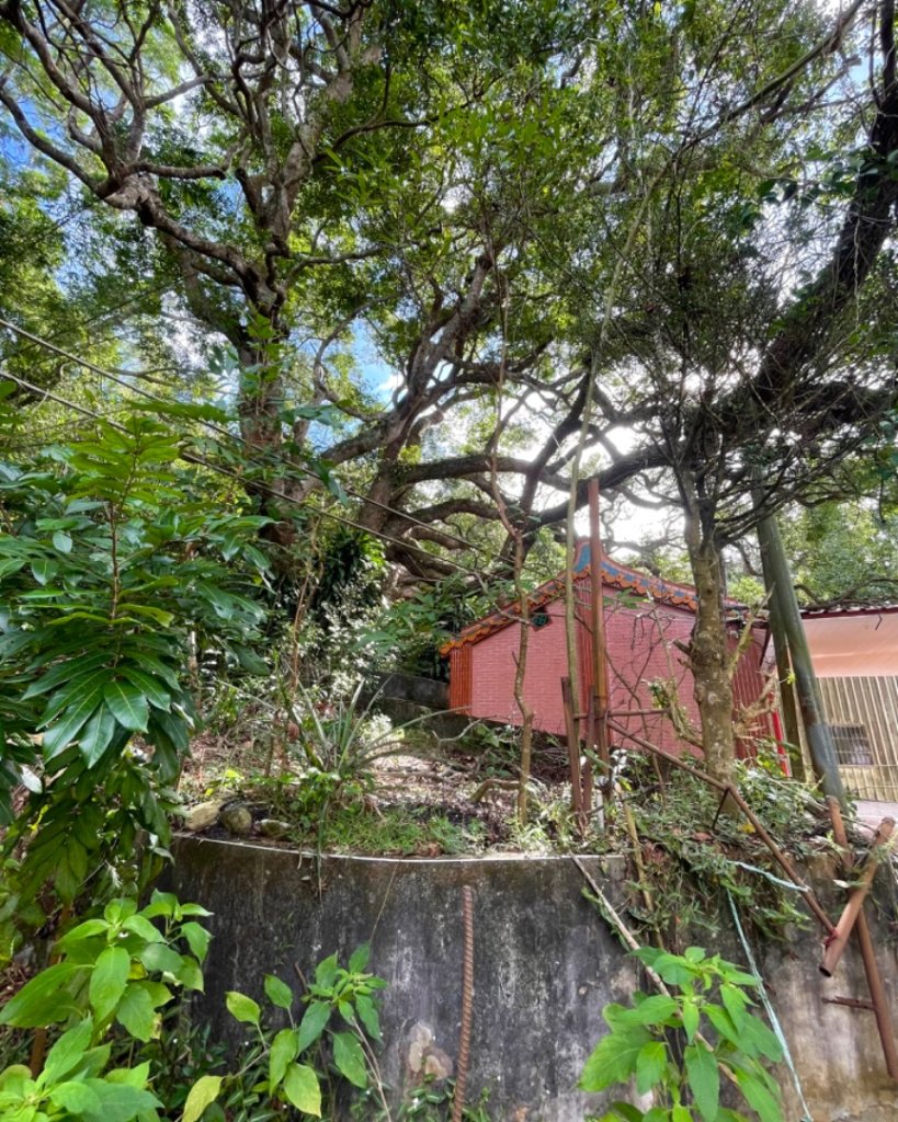 苗栗三義銅鑼三員縱走-三角山-員屯山_2650198