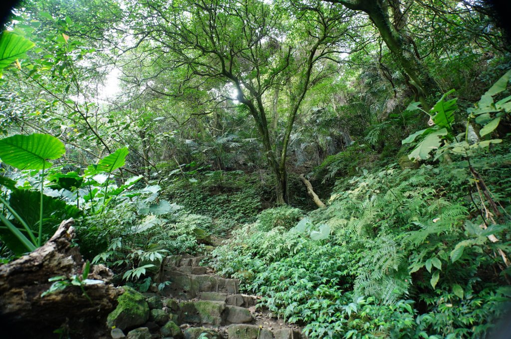 桃園 大溪 新溪洲山、溪洲山、林嵩壽山、內湳溝山、頭寮山_3006196