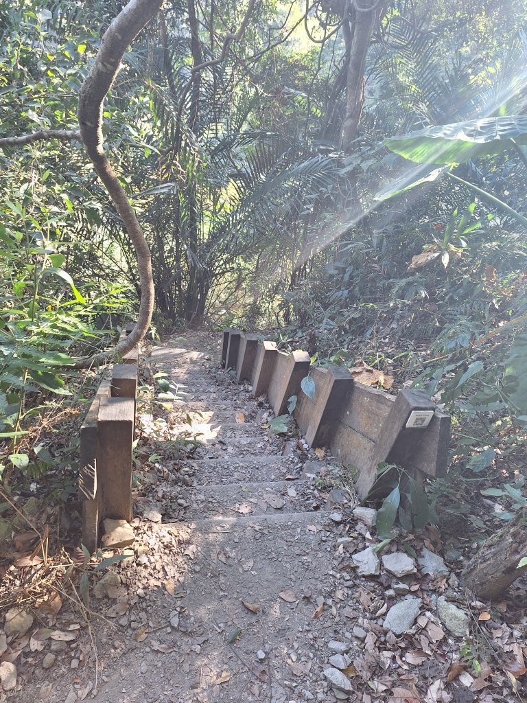 谷關蝴蝶谷瀑布20251120_2940802