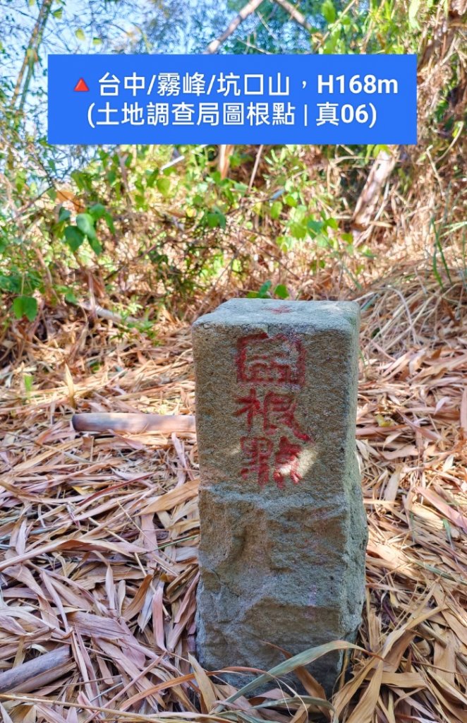 🔺基石 | 三角點_1968547