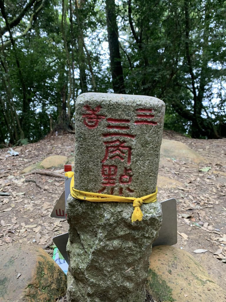 金柑樹山（南投縣竹山鎮）（小百岳）封面圖