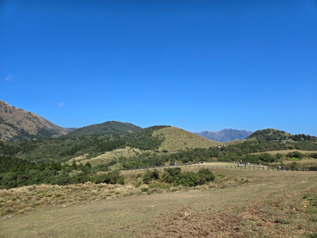 擎天崗環形步道_2722270