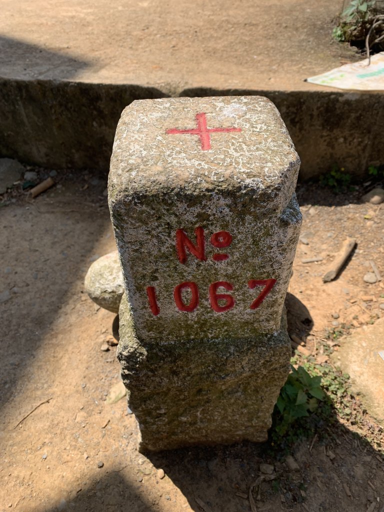 20250322南投松柏坑山-大棚山_2745824