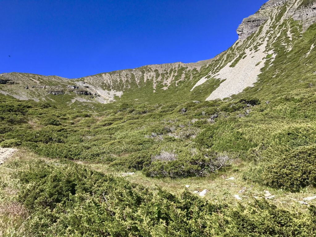 2017.07.18~19雪山主東峰_148787