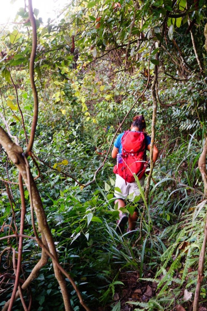 埔里彩蝶瀑布之國姓鄉眉冷山及糯米橋_1466162