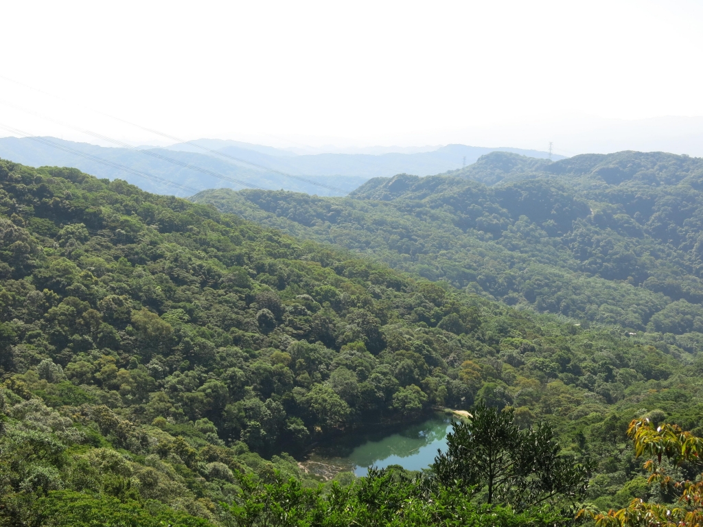 【春夏之際】新山夢湖封面圖