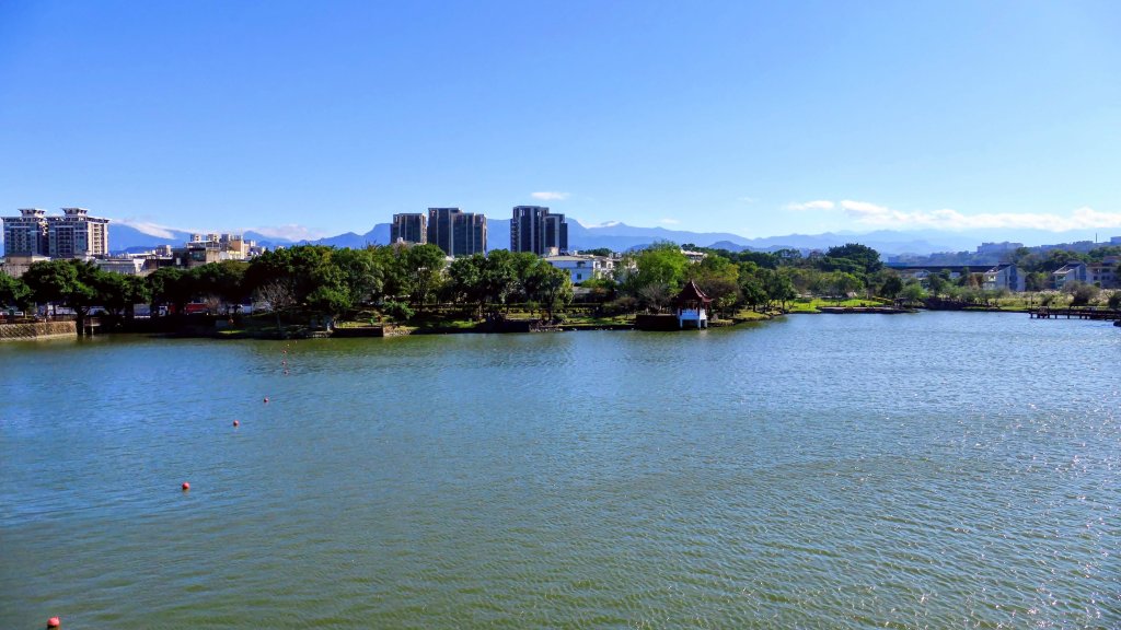 落羽松大道,龍潭大池_2976195