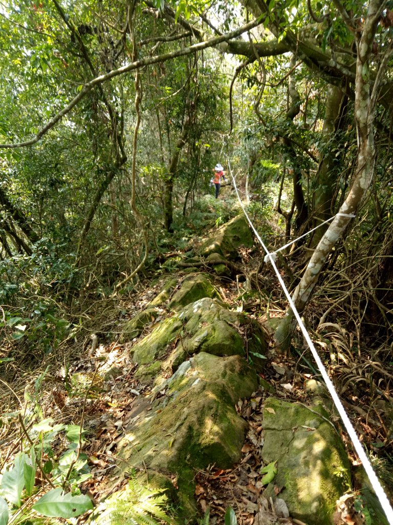 小百岳暗影山(高巢森活上)封面圖