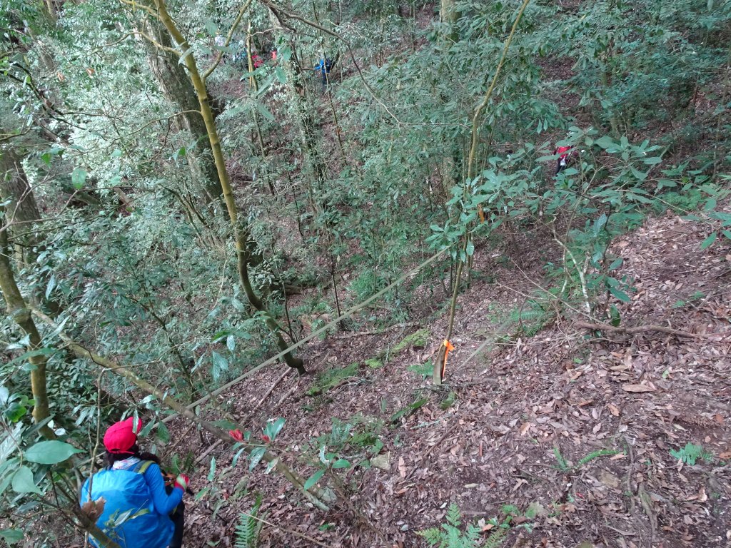 2022年02月13日(彰山協)南投日月潭四兄妹之中級山~大尖山縱走水社大山_1613366