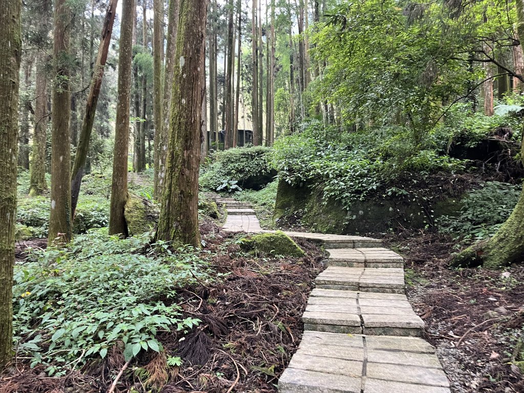 [嘉遊好步道．來嘉走走-04/10] 2024_1011 阿里山頂湖步道_2624677
