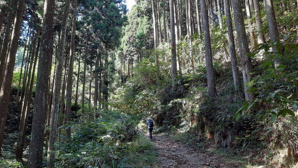 《新竹》幸福雲海｜鵝公髻山步道X山上人家20221105_1900130