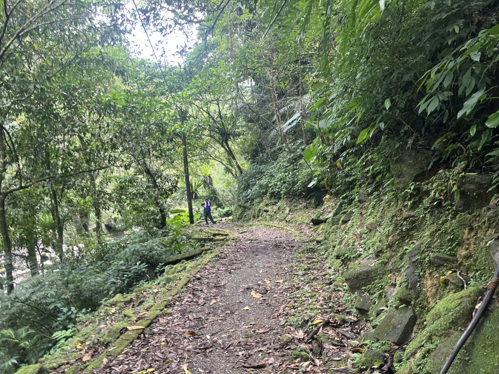 [淡蘭古道] 2024_0622 中路第五段-灣潭古道_2534002