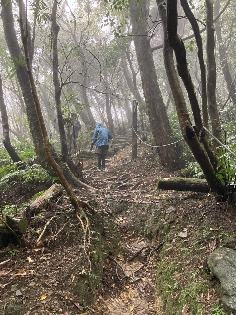 獅仔頭山登山步道_2437069