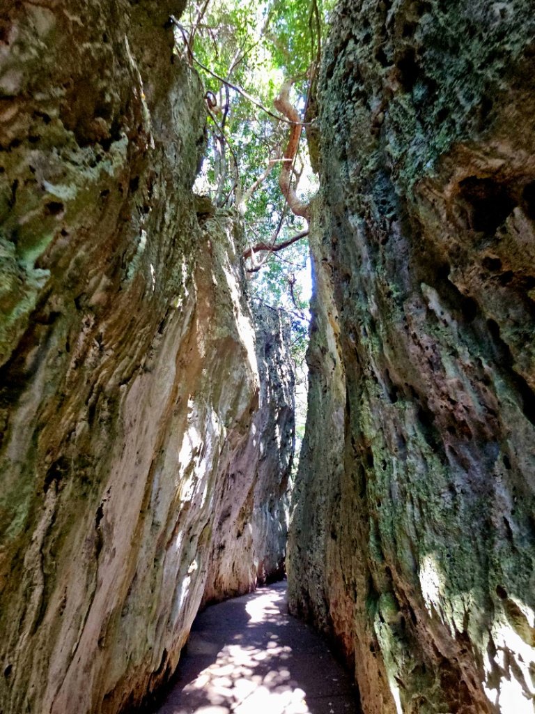 墾丁國家森林遊樂區步道群-(屏東)臺灣百大必訪步道_2731244