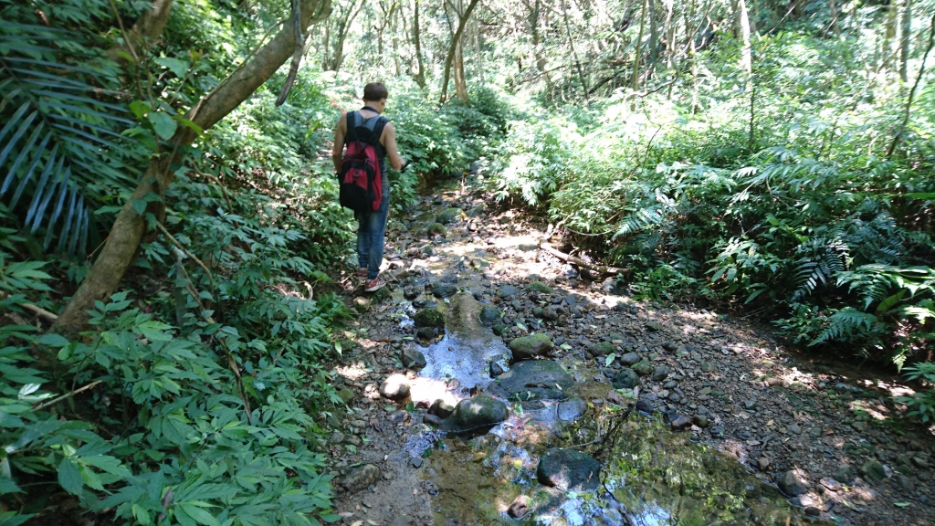 孝子山 ．慈母峰．普陀山．中央尖_52674