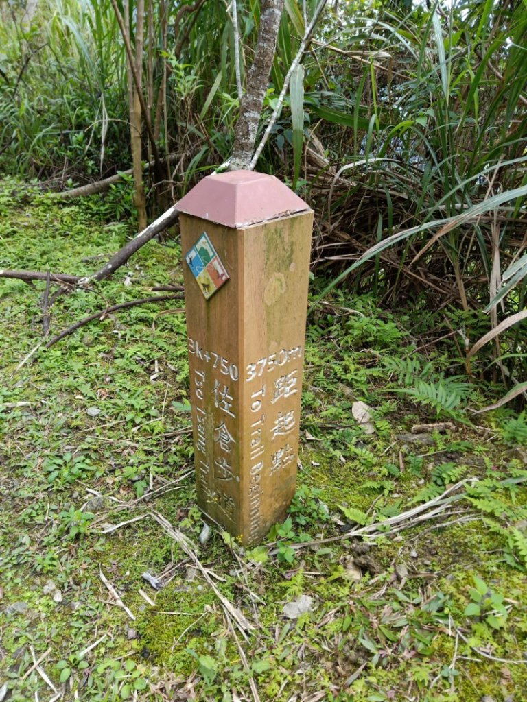 步道巡訪員│佐倉步道2月巡訪日誌_819673