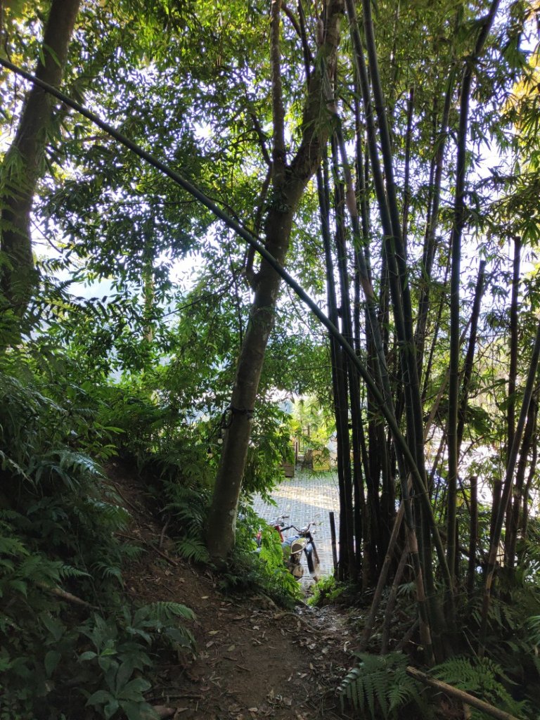 2024.11.29 騎龍山+騎龍古道_2990419