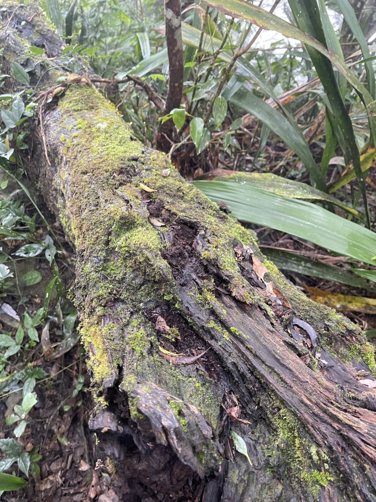 20221010日湯真山_2040427