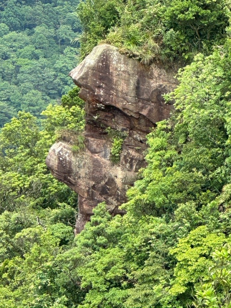 南勢坑山、鑽石峰、人面頭山、獅公髻尾山O走_2809762
