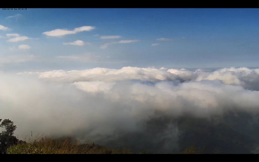 阿里山雲瀑&雲海/富士山直播即時視訊_841047